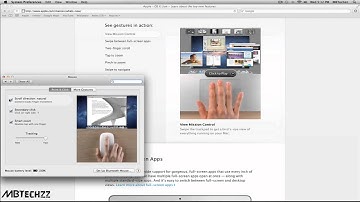 How to turn off reverse scrolling in Mac OS X Lion