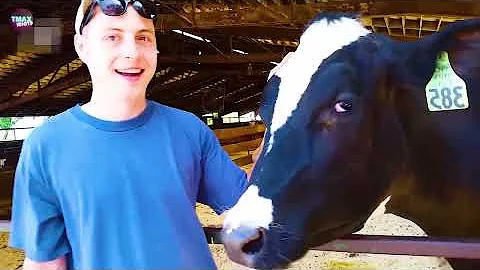 TOTAL IDIOTS AT WORK | Instant Regret Fails Compilation 2025 #303 | Best Fails of the Week