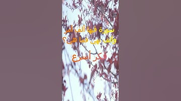 #سورة فيها ألف أمر وألف نهي/ #اسئلة_دينية_مع_الحل/ #أسئلة_ثقافية/#ستوريات_الواتس