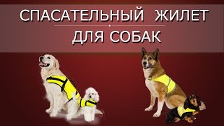 Спасательный жилет для собак Спасательный жилет для собак