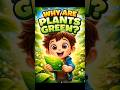 FELIX THE CURIOUS BOY 🌿✨ #ytshorts #viralshorts #kidsstories #kids #viral