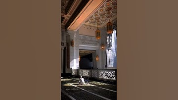 إِنَّ اللَّهَ وَمَلائِكَتَهُ يُصَلّونَ عَلَى النَّبِيِّ |  لفضيلة الشيخ #ياسر_الدوسري #سورة_الاحزاب