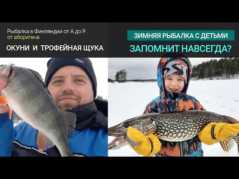 Крупные окуни и трофейная щука. Зимняя рыбалка в Финляндии с детьми.