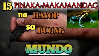 15 Pinaka-Makamandag na Hayop sa buong Mundo||15 Most venomous animals in the world