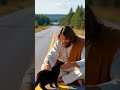 #иисусхристос #библияговорит #черныйкот#дорогуперебижал