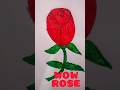 Draw & colour a Rose || how to drawing # youtube #shorts @mormonjaiEDUEDU🙏