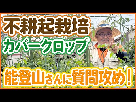 フィールドブロムで土壌改良！体験者が教える正しい使い方と注意点