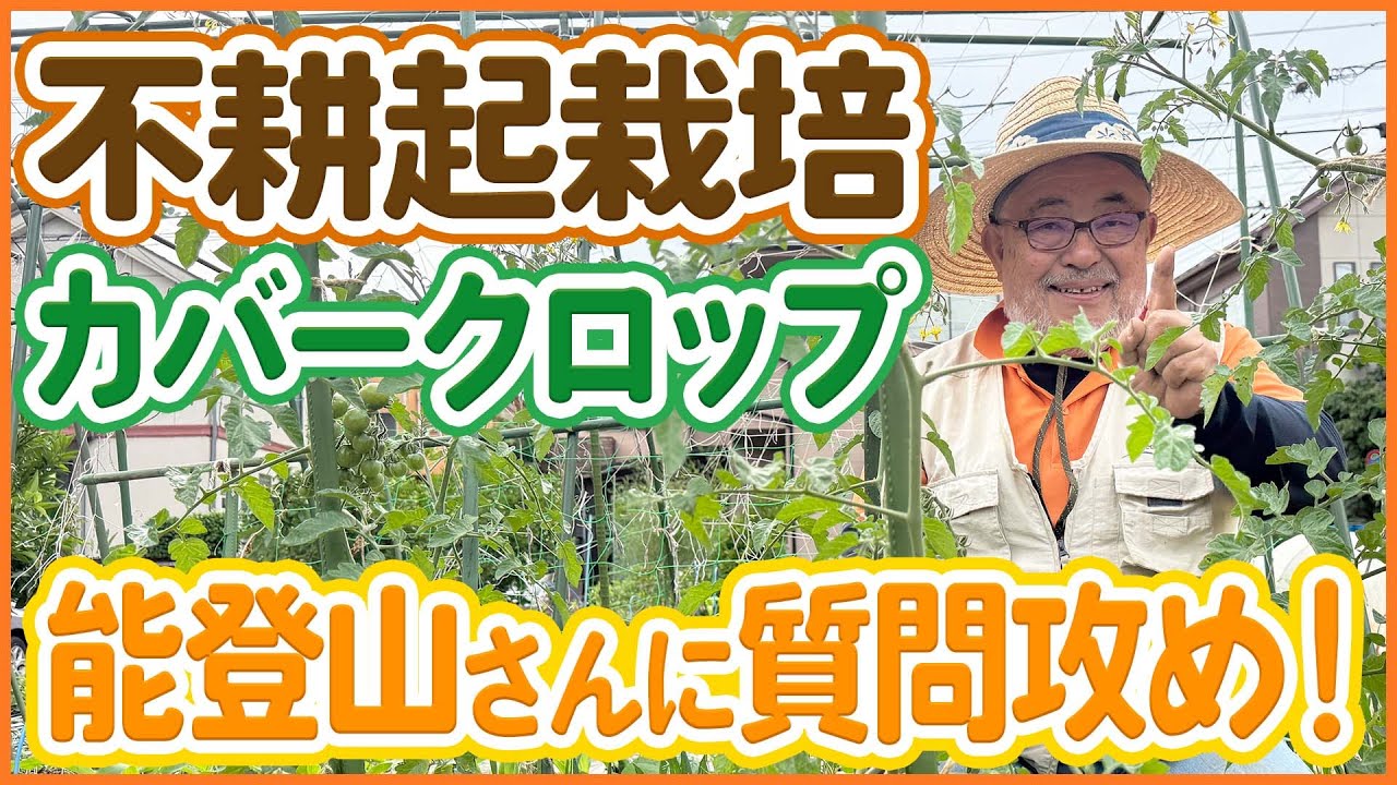 不耕起・カバークロップ栽培のコツと実践方法を大公開！能登山さんに徹底インタビューで学ぶ自然栽培の知恵【農園ライフ】