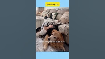 rồi tính sao với bả # vui cùng cún cưng