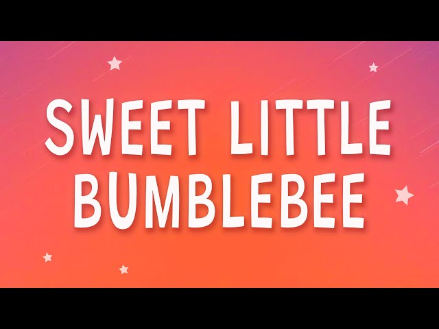 Bambee - Sweet little bumblebee (Bumble Bee) (Sped Up) (Lyrics) class=