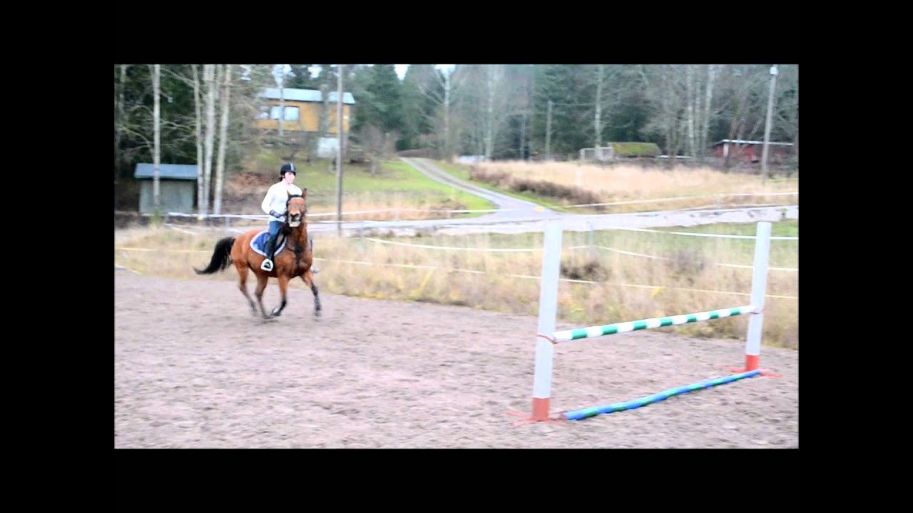 Lola 24.11 (kaatuminen)
