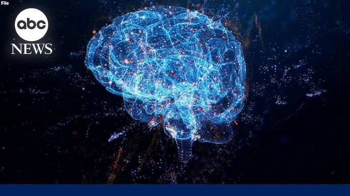 How This Nonprofit Is Advancing Human Brain Cell Mapping