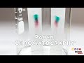 Paper Chromatography | Science Project