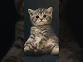 &quot;Ketika Kucing Sudah Nggak Tahan Sama Hidup 🤣&quot;#kitten #short #shorts