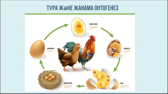 Порнодағы татар сұлулары Тақсыр және ауыздағы спермы бар порно видеолар