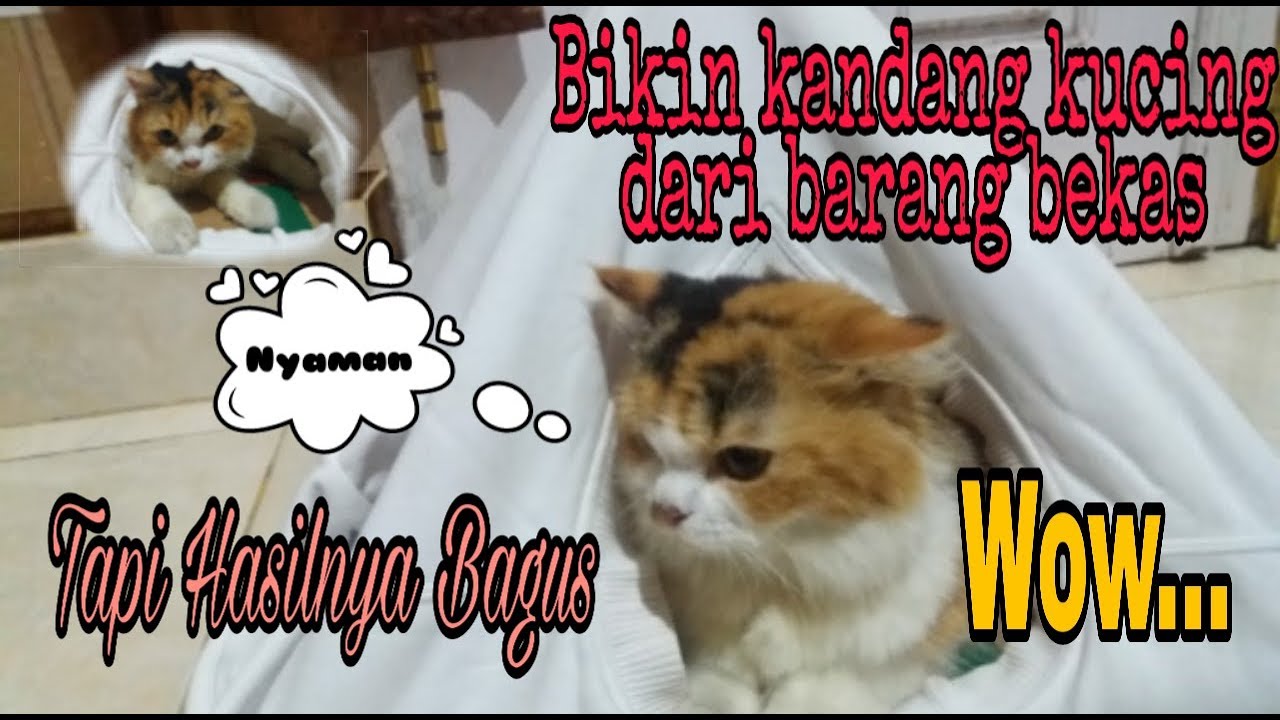 Cara Membuat Kandang Kucing Dari Pipa Paralon