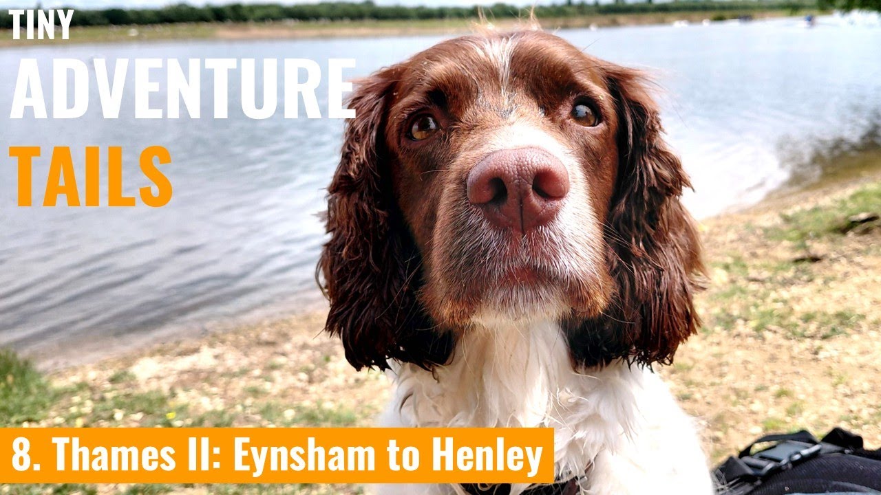 Sustainable Adventure Travel For Families:  The Thames Source to Sea Part 2  (Eynsham to Henley)