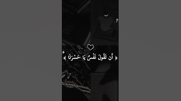 أن تقول نفس يا حسرتا #قرآن #قران_كريم #تلاوة_خاشعة #حالات_واتس #مصر #السعودية #الخليج #اكسبلور