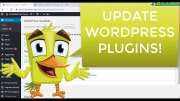 How to Update/Upgrade Wordpress Plugins to Newer Versions Inside WP-Admin EASY Tutorial!