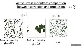 Trapping active particles up to the limiting case: bacteria enclosed in a biofilm screenshot 3