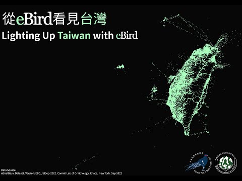 💡從eBird看見台灣 - Lighting Up Taiwan with eBird💡