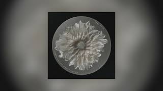 Kings & Creatures - Wake Me Up by Willow Knox, William Morris
