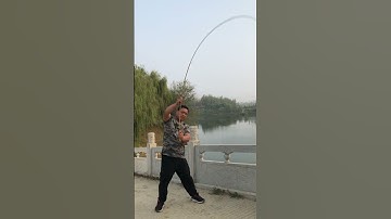 Cần câu cá chép 2H siêu dẻo câu cá rô chép diếc trôi #26 #shorts #fishingrod