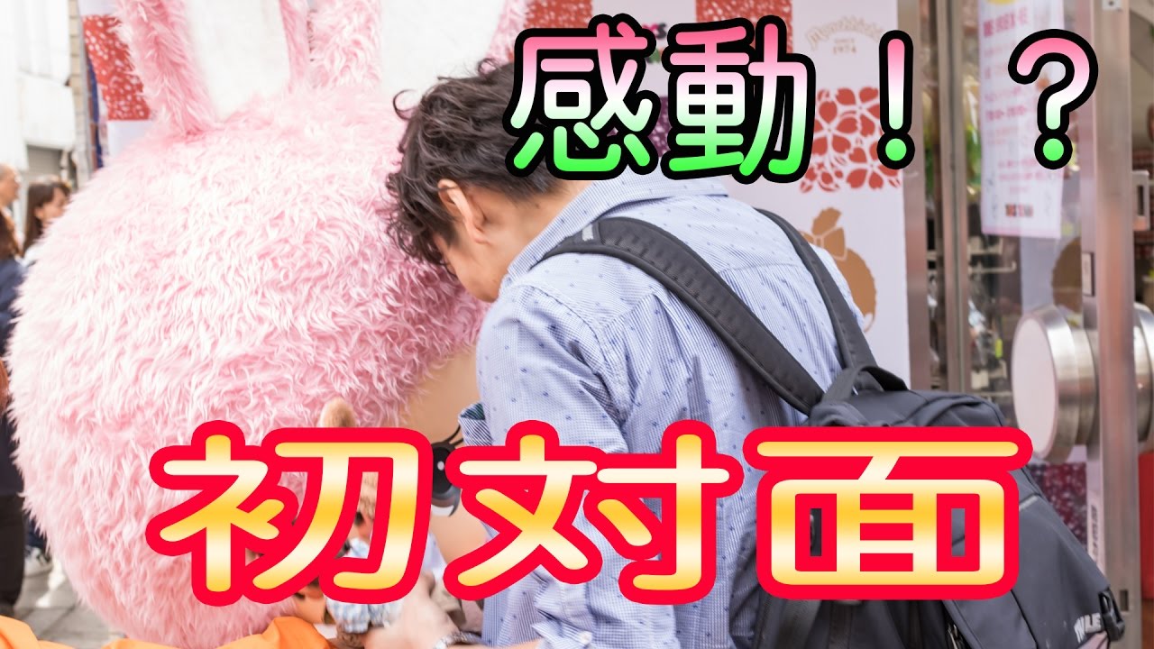 感動！かわいいチムたんに会ってきた！！ inトイステラオ