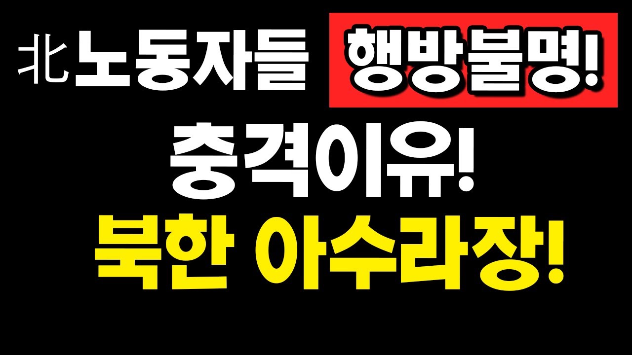 北노동자들 행방불명! 충격이유! 북한 아수라장!