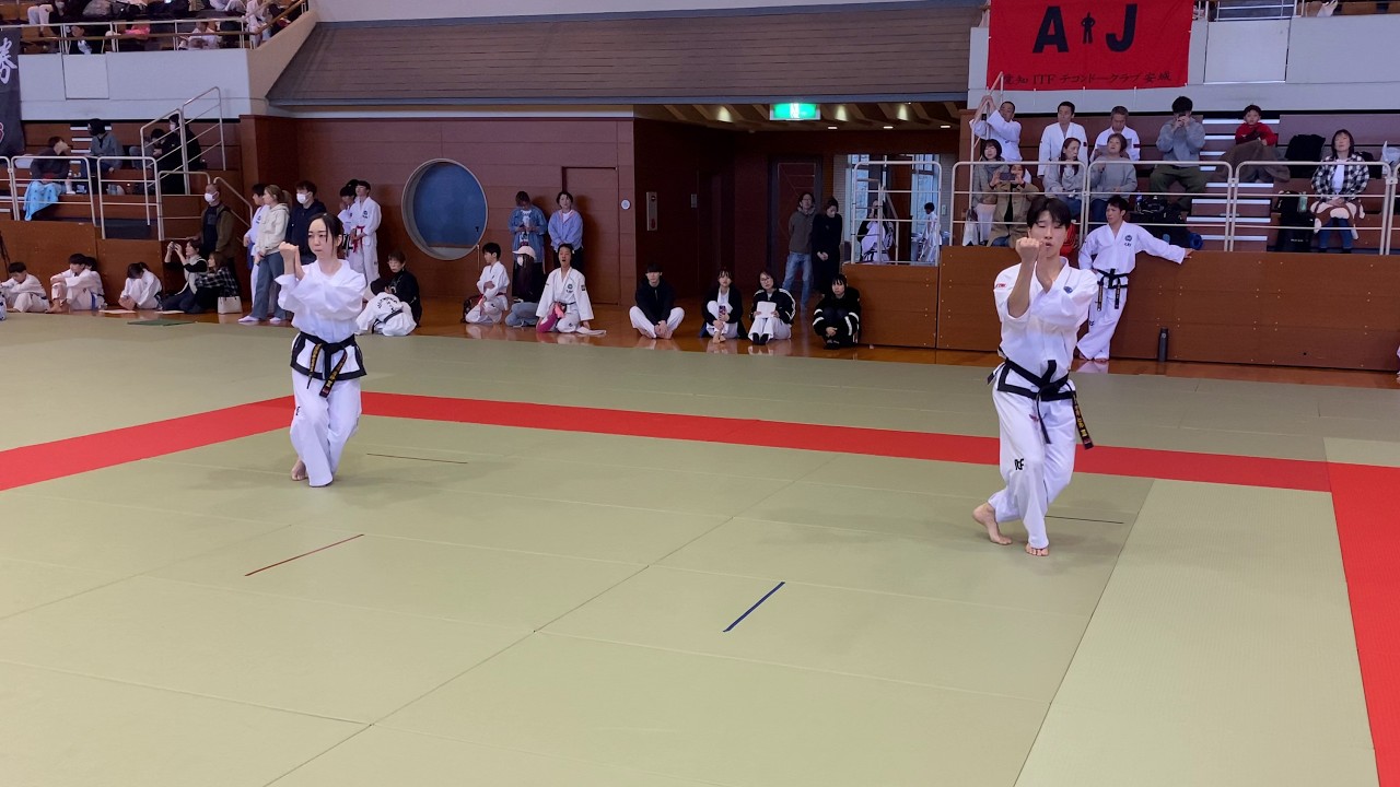 第33回岐阜県大会《型》成年部 二段（決勝）33rd Gifu Championship Patterns Senior ⅡDan FINAL／ITFテコンドー