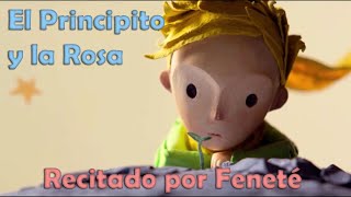 EL PRINCIPITO SOBRE EL AMAR O EL QUERER - El Principito y la Rosa Viviana Baldo - VOZ FENETÉ