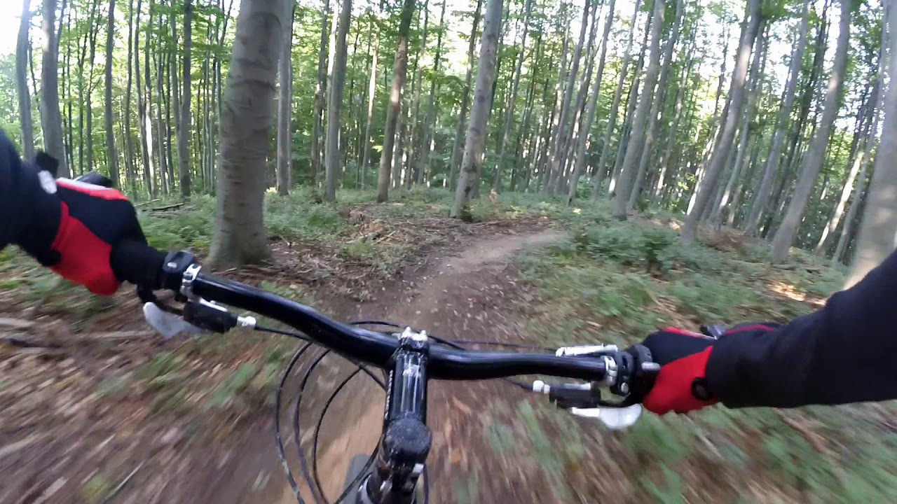 MTB Downhill Vienna (Sauberg-Trail)