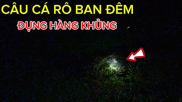 Đi CÂU CÁ ĐỒNG Chiều Tối CÁ RÔ CÁ THÁC LÁC / Gặp Phải HÀNG KHỦNG Kéo Đã Tay @Caucalongan62