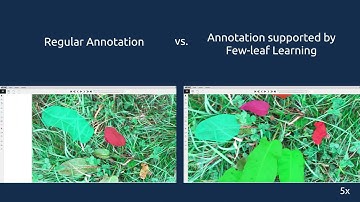 Few-leaf Learning: Weed Segmentation in Grasslands - IROS 2021