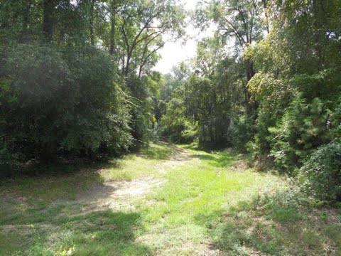 166 White Horse Drive, Leesburg, GA home video tour