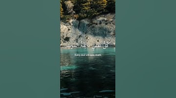 سورة العنكبوت من الاية 56 الى الاية 57 بصوت الشيخ عبد الرحمن المسعد #quran #قرآن #قرآن_كريم #islam