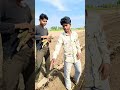 #lifeisbutadream #farmerslife