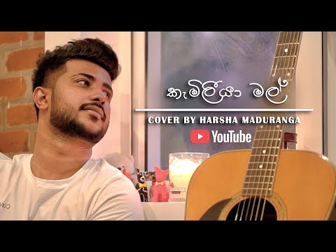 Kameliya Mal (කැමීලියා මල්) Cover By  | Harsha Maduranga