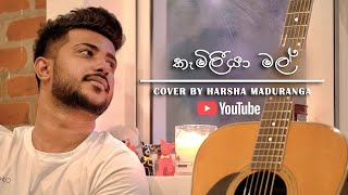 Video thumbnail of "Kameliya Mal (කැමීලියා මල්) Cover By  | Harsha Maduranga"