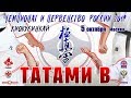 Чемпионат и Первенство России (16-17 лет) по киокушинкай. ТАТАМИ B