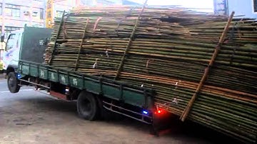 Lazy driver unloading bamboo LIKE A BOSS!!!