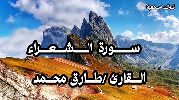سورة الشعراء🧡القارئ/طارق محمد🔸