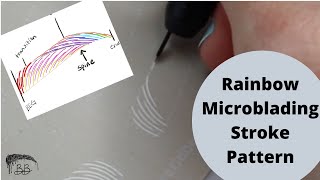 Step by Step Microblading Stroke Template (Rainbow pattern)