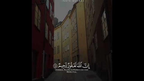 القارئ وديع اليمني 🎤