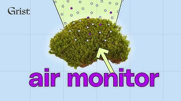What moss tells us about air pollution