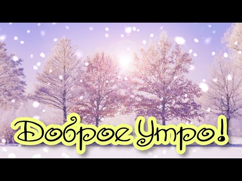 🌲🌲🌲С ДОБРЫМ УТРОМ И ХОРОШЕГО ДНЯ!🌲🌲🌲
