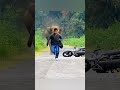 Elephant vs Motorcycle #shorts