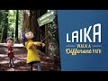 Walk a different path  life at laika