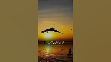 #تلاوة_مؤثرة #تلاوة_خاشعة #إسلام_صبحي   #صوت_يريح_القلب #قرآن #صلوا_علي_النبي #تلاوة_مميزة