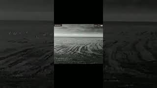 Охотничье хозяйство. Витебская область.